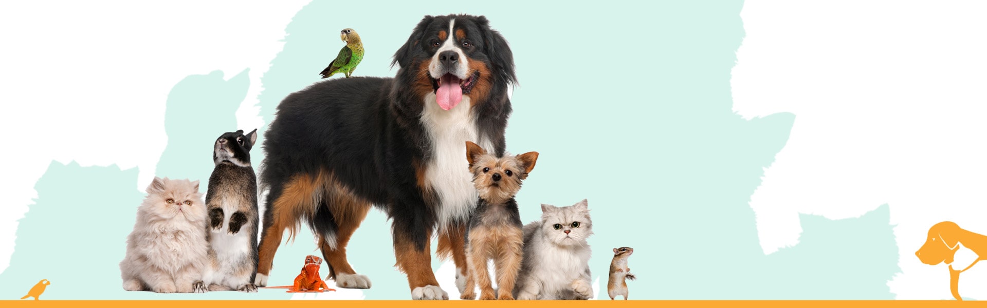 mak-pet Shop