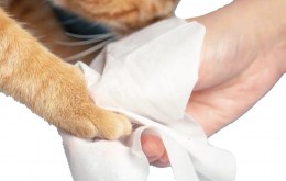 Pet-Hair-Cleaning-Wipes-Cat-Eye-Cleaning-Pet-Wet-Wipes