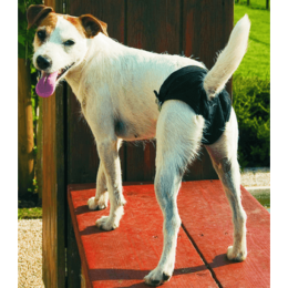 Trixie Πάνα Βρακάκι Σκύλου Ακράτειας Επαναχρησιμοποιούμενη με 3 Ανταλλακτικά Πανάκια για Αρσενικά XLarge 65 - 75cm 1τμχ