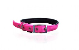 Pet Interest Neoprene Standard Fluo colors Κολάρο Σκύλου XLarge 25mm x 55cm φλούο ροζ
