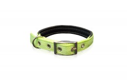 Pet Interest Neoprene Standard Fluo Colors Κολάρο Σκύλου 3XLarge 25mm x 65cm Φλούο πράσινο