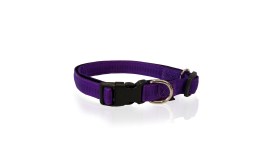 Pet-Interest Κολάρο Σκύλου Stripes (M) 20mm x 32-50cm Purple