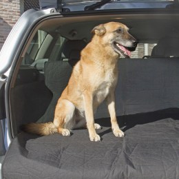 Car Seat Protector