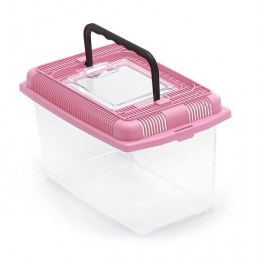 fish-tank-pink7
