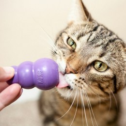 Kong Crackle Winkz catnip (Cat) Μωβ