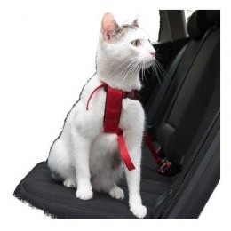 Trixie harness with lead (Cat)